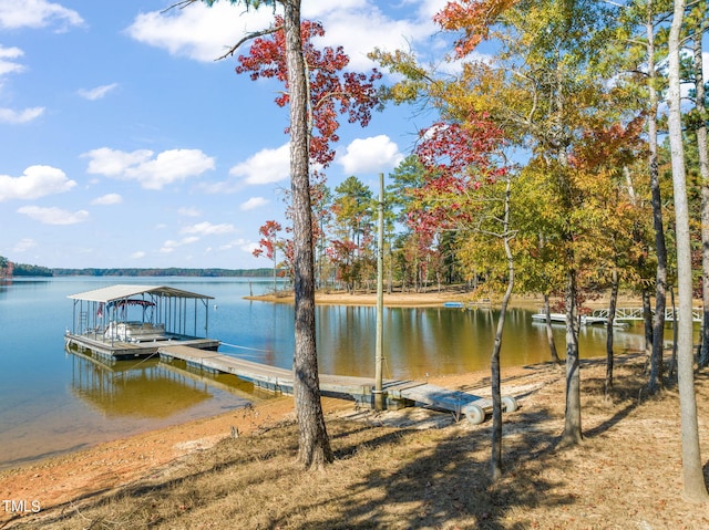 dock area with a water view