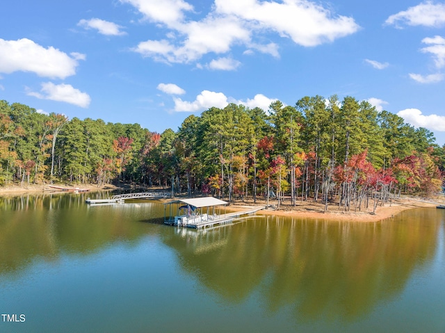 water view featuring a dock