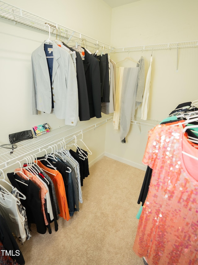 spacious closet with light carpet