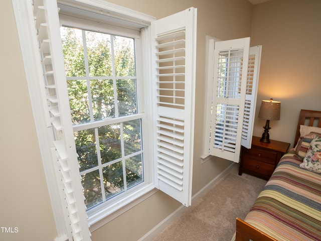 carpeted bedroom with multiple windows