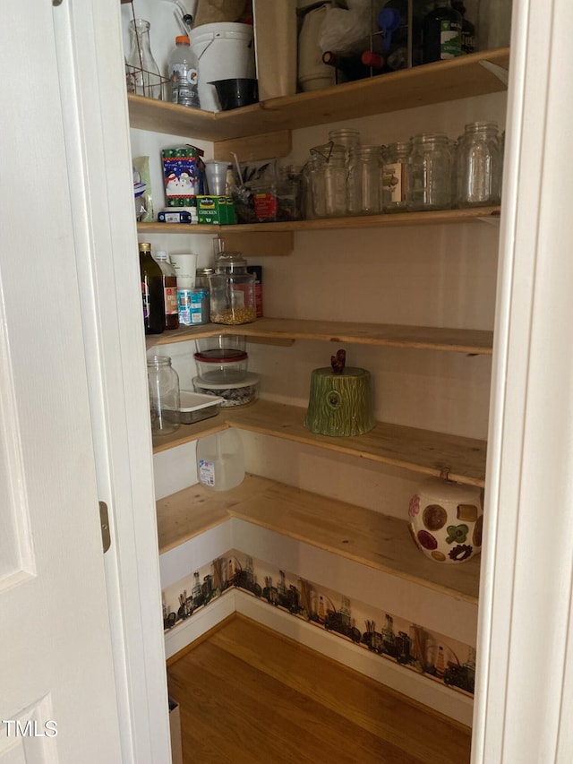 view of pantry