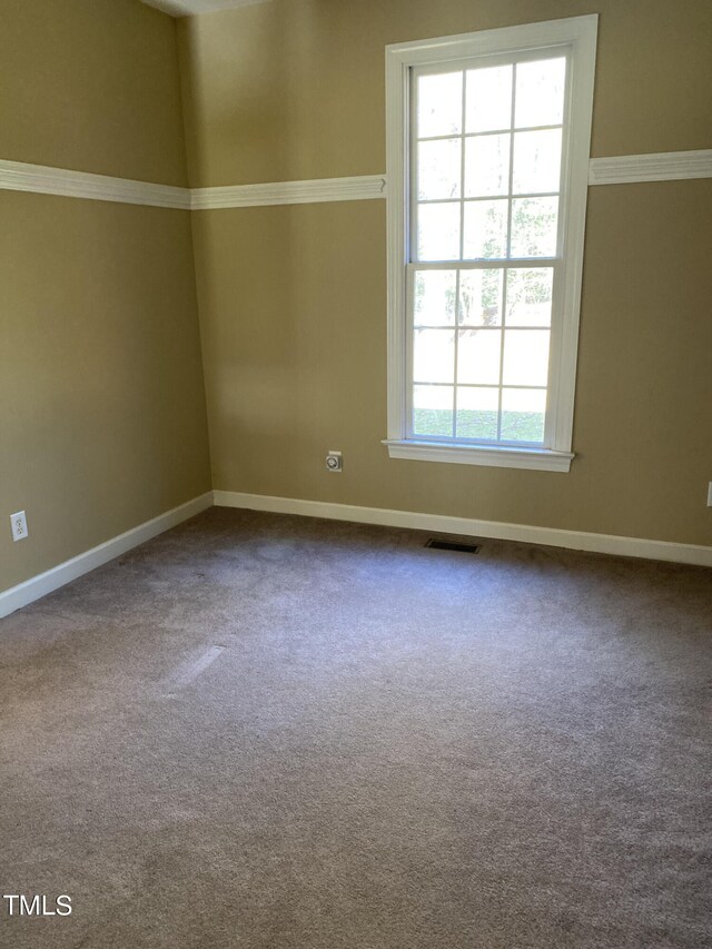 unfurnished room featuring crown molding and carpet