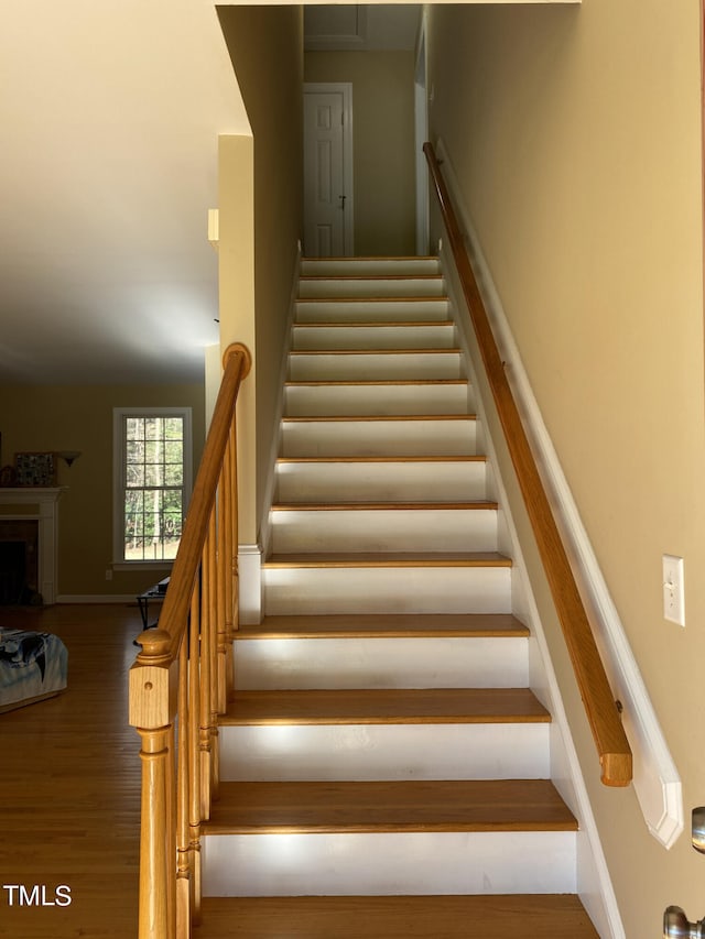 staircase with hardwood / wood-style flooring