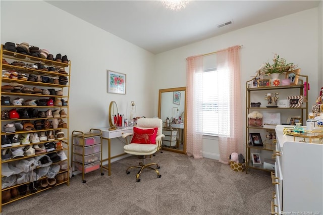 office featuring carpet floors