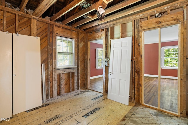 miscellaneous room featuring a wealth of natural light