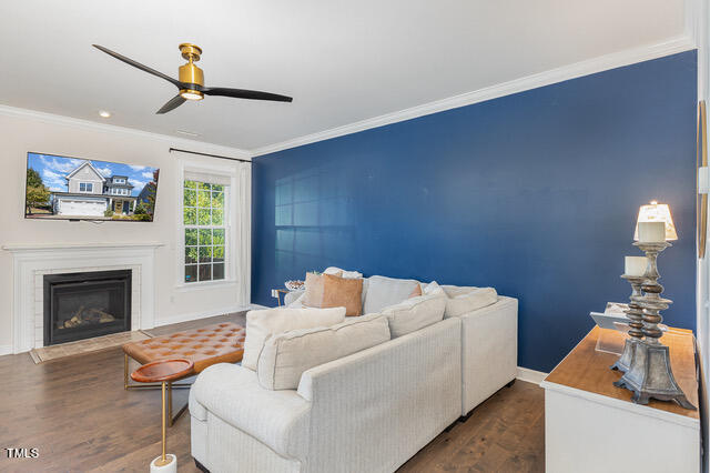 living room with dark wood-type flooring, crown molding, and ceiling fan