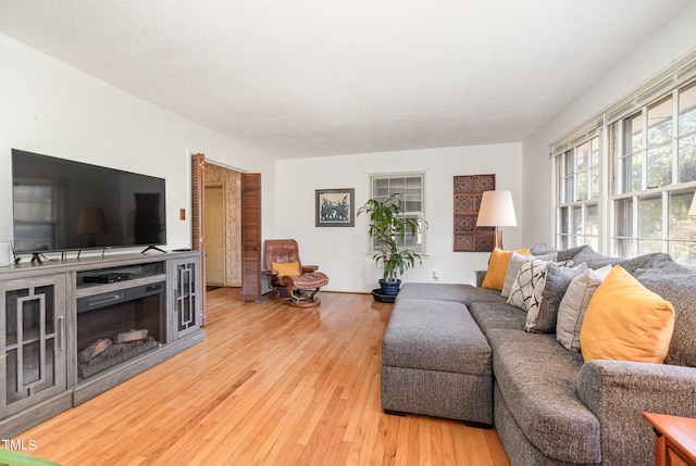 living room with hardwood / wood-style floors