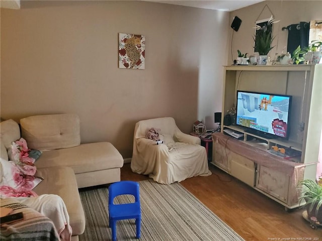 living room featuring light hardwood / wood-style flooring