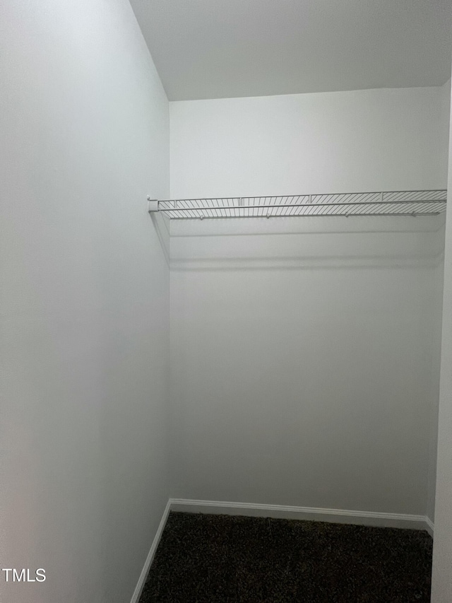 walk in closet with carpet