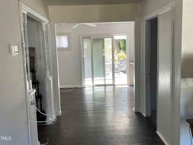 hallway featuring dark hardwood / wood-style floors