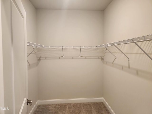 1230 Linkwood, Home, Fuquay Varina, NC 27526 - spacious closet with carpet flooring