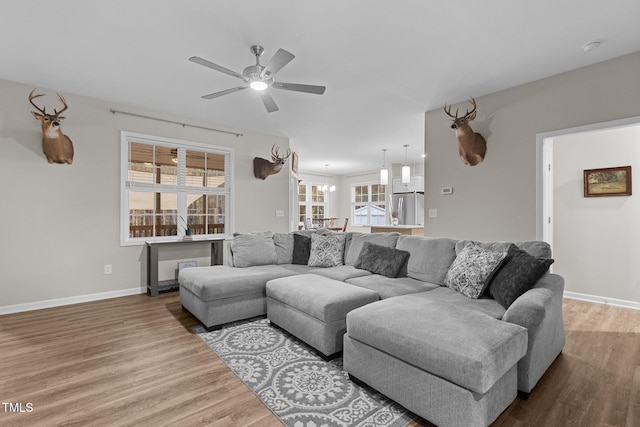 living room featuring hardwood / wood-style floors and ceiling fan with notable chandelier