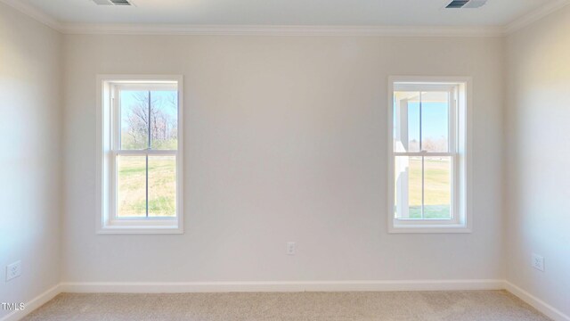 carpeted spare room featuring baseboards, visible vents, a wealth of natural light, and crown molding