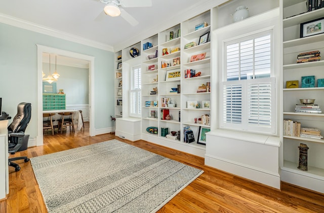 home office featuring ornamental molding, light hardwood / wood-style flooring, ceiling fan, and plenty of natural light