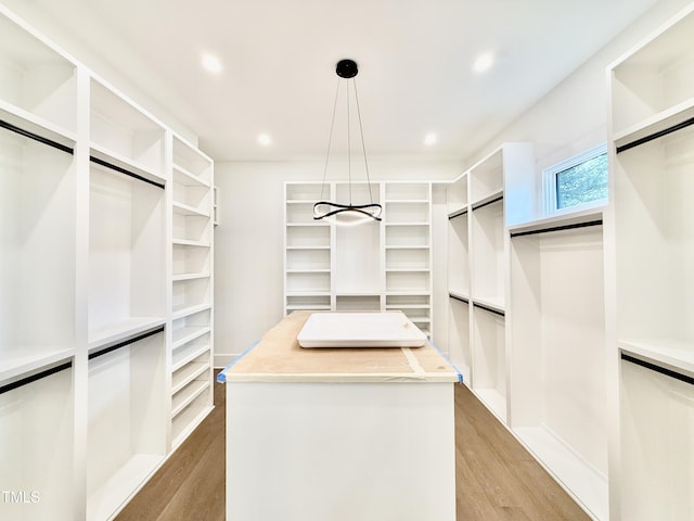 spacious closet featuring light hardwood / wood-style flooring