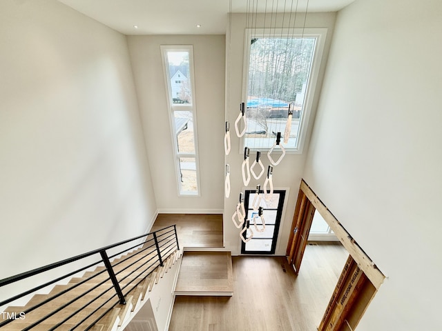 entrance foyer with hardwood / wood-style flooring