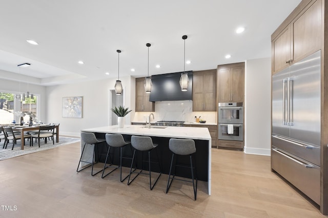 kitchen featuring stainless steel appliances, premium range hood, a sink, light wood-style floors, and decorative backsplash