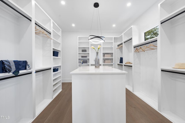 walk in closet featuring dark wood-style flooring