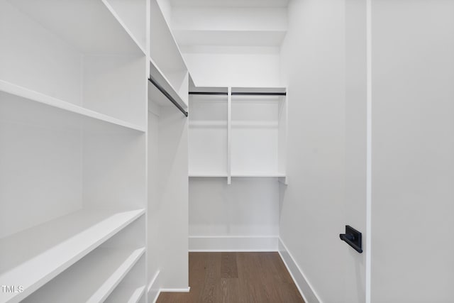 spacious closet with dark wood-type flooring