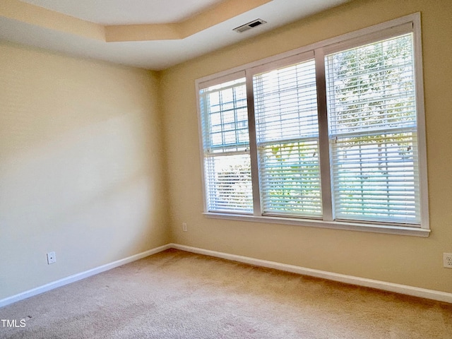 carpeted spare room with a tray ceiling