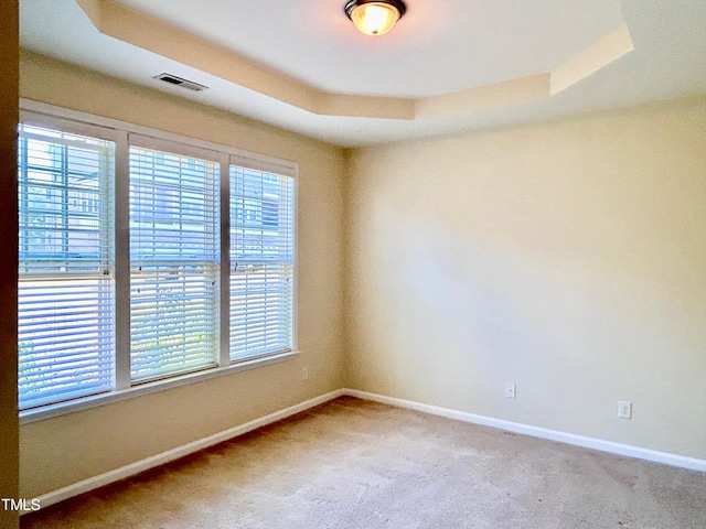 spare room featuring carpet flooring, a tray ceiling, and a wealth of natural light