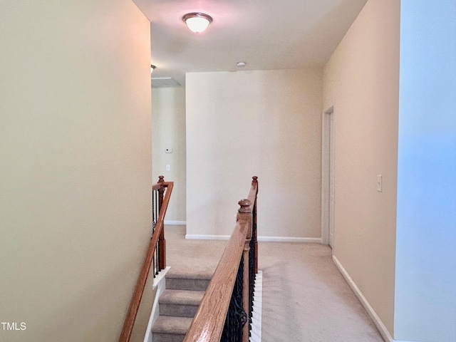 stairway featuring carpet flooring