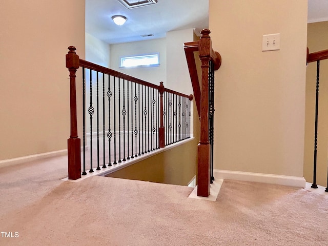 stairway featuring carpet floors