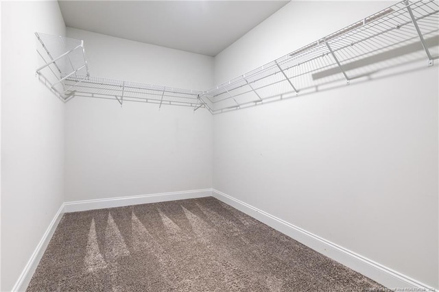 walk in closet with carpet