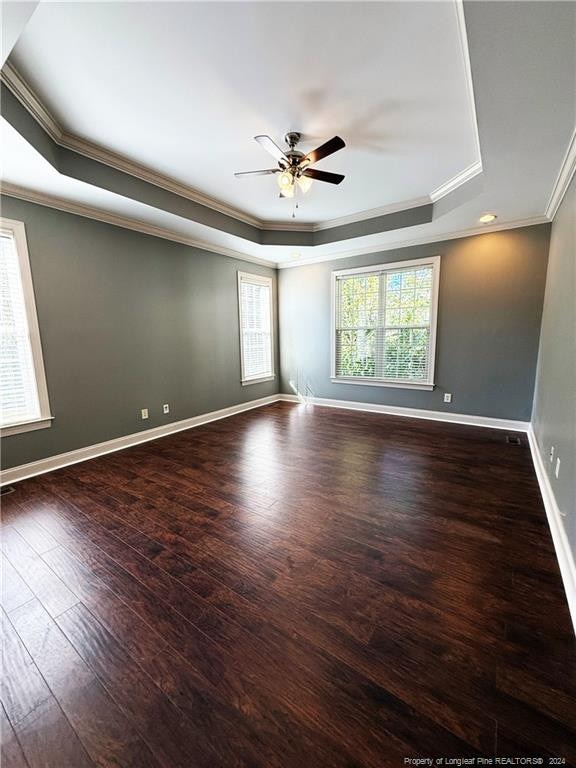 unfurnished room with dark hardwood / wood-style floors, a raised ceiling, a wealth of natural light, and ceiling fan