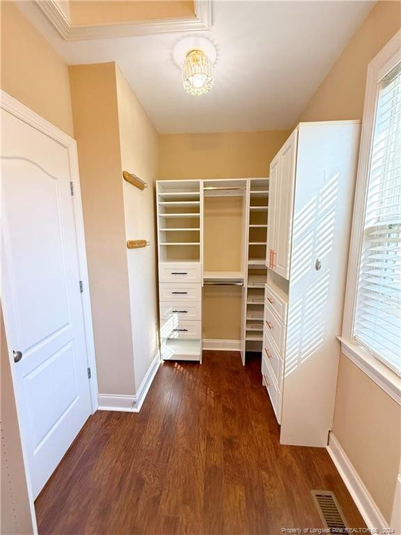 walk in closet featuring dark wood-type flooring