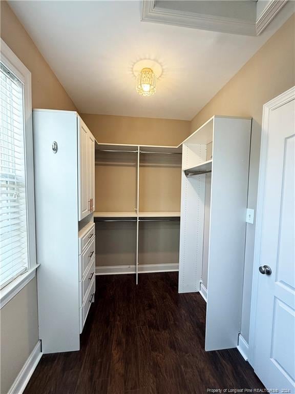 spacious closet with built in desk and dark wood-type flooring