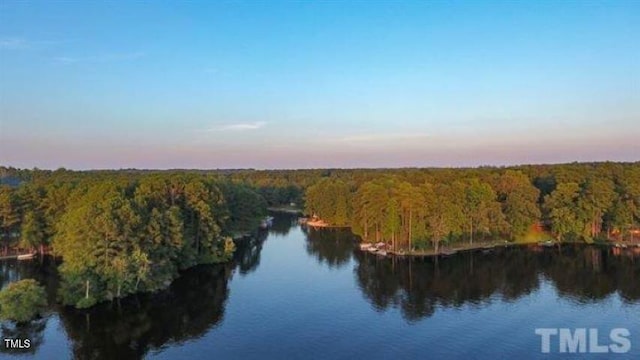 157 Winnebago Loop, Louisburg, NC 27549