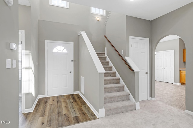 entryway featuring plenty of natural light and light colored carpet