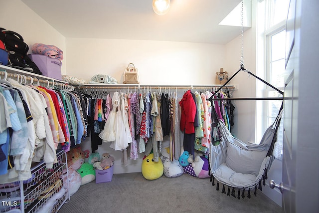 spacious closet featuring carpet floors