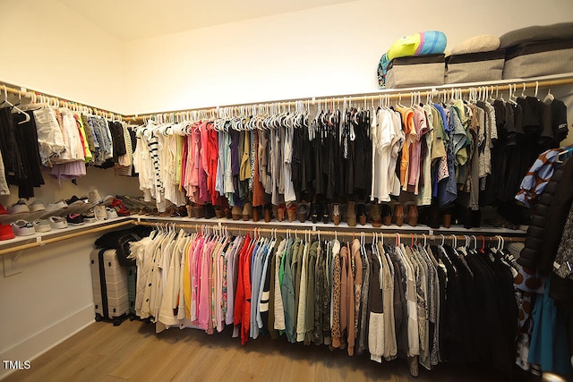 walk in closet featuring wood-type flooring