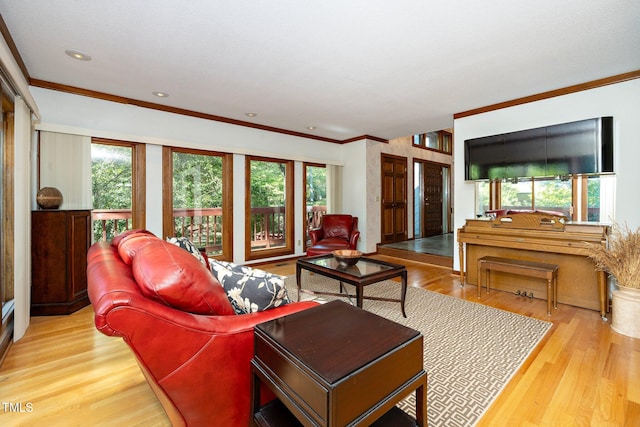 living room with ornamental molding, light hardwood / wood-style floors, and plenty of natural light