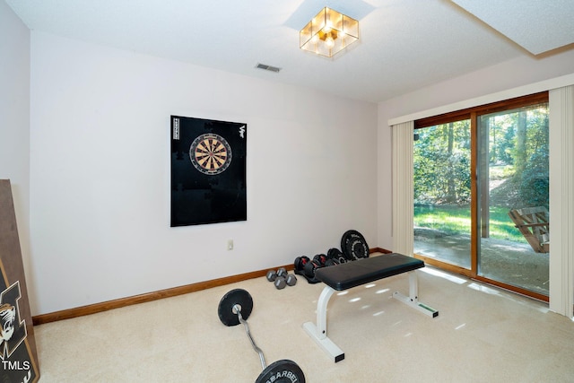 workout area featuring carpet flooring