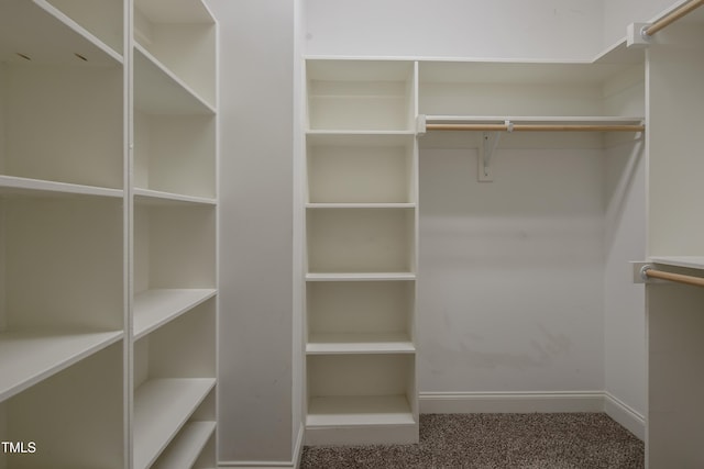 spacious closet with carpet flooring