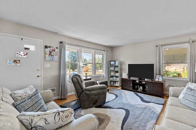 living room featuring hardwood / wood-style flooring and plenty of natural light