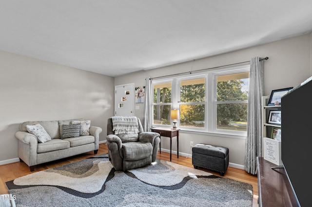 living room featuring light wood-type flooring