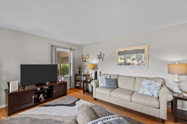 living room featuring hardwood / wood-style floors