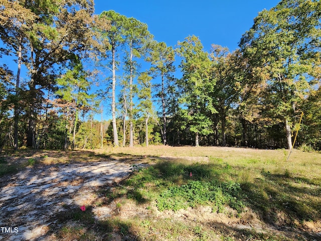 392 Monroe Ln, Erwin NC, 28339 land for sale