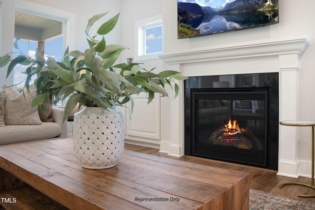 details featuring hardwood / wood-style flooring