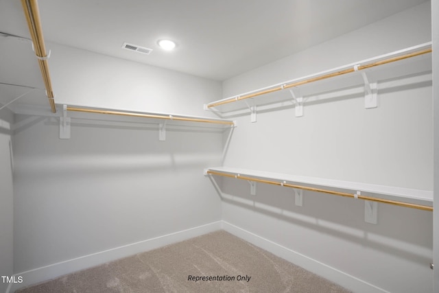 spacious closet featuring carpet flooring