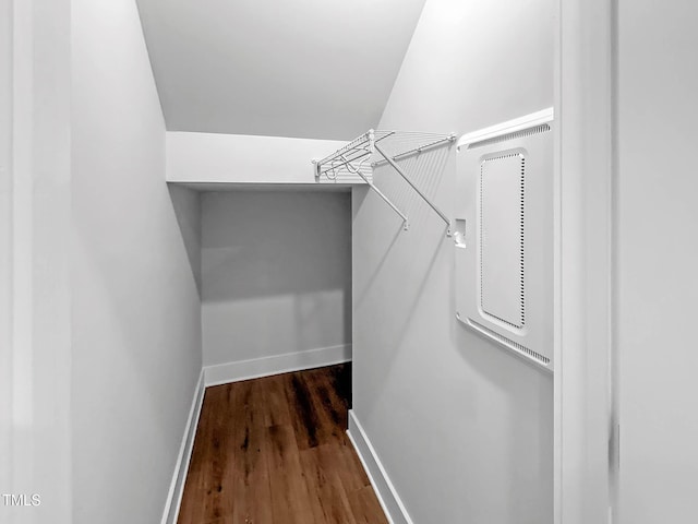 walk in closet featuring wood finished floors
