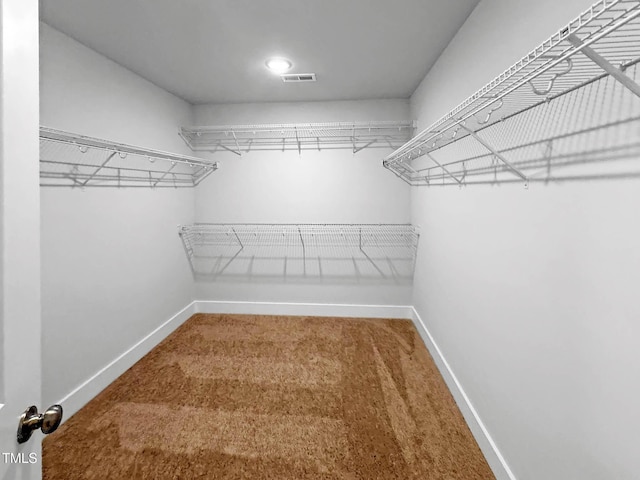 walk in closet featuring carpet