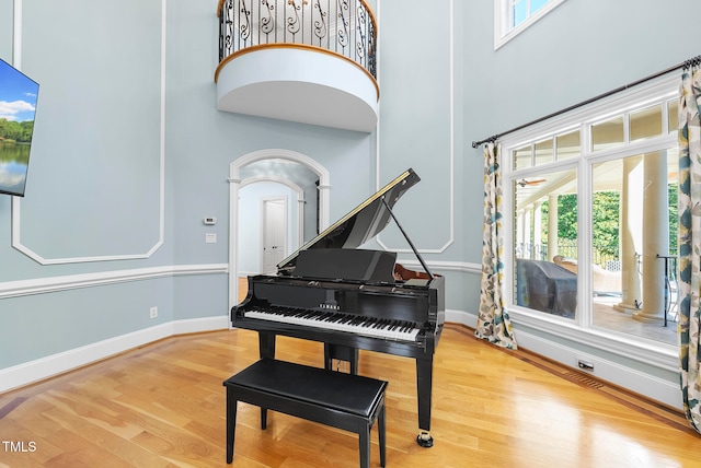 miscellaneous room with plenty of natural light, a towering ceiling, and hardwood / wood-style flooring