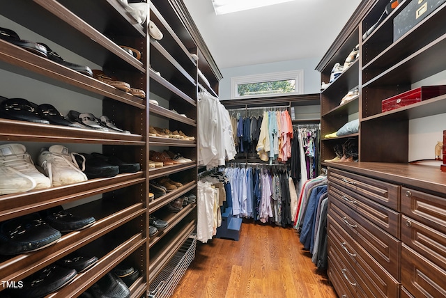 spacious closet featuring wood-type flooring