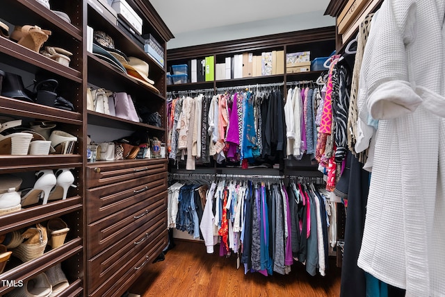 walk in closet with hardwood / wood-style floors