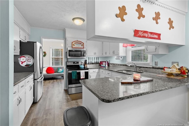 kitchen featuring kitchen peninsula, stainless steel appliances, white cabinetry, and sink